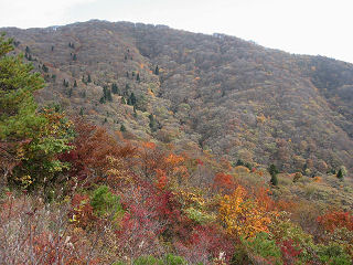 紅葉が素晴らしい…後ろはコヤマノ岳。