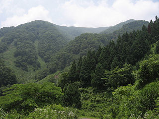 東尾根登山口より横山岳を望む。