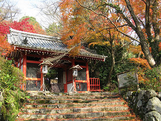 紅葉が迎える金蔵寺山門。