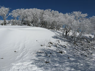 樹氷と雪が青空に映える。