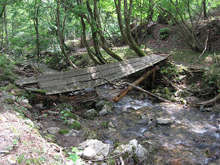 崩れた木橋。