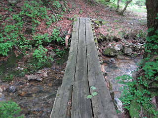 傾いた木橋。