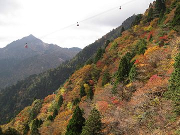 紅葉とロープウェイに鎌ヶ岳