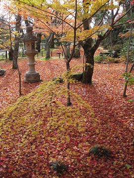 庭園は紅葉の絨毯みたいです