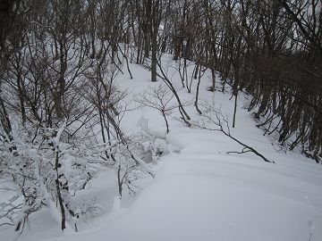 県境尾根は場所により雪庇が育つ