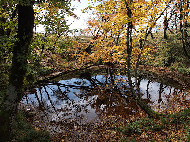 紅葉が見頃な幸助の池。