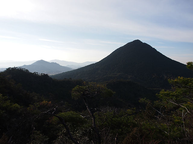 近江富士花緑公園に多数あります。