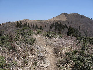 西南稜から武奈ヶ岳を望む。