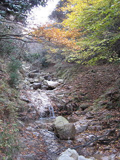 白谷コースの渓谷と紅葉。