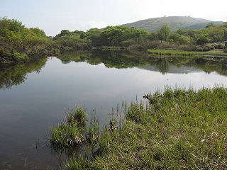 小女郎ヶ池、右奥は蓬莱山。