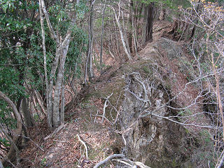 田村川林道への道では痩せ尾根も在る。