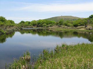 小女郎ヶ池にて、後に蓬莱山が見える。