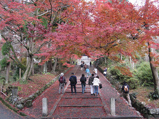 安祥寺門前の紅葉。