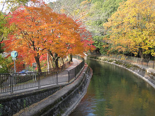 琵琶湖疎水の紅葉。