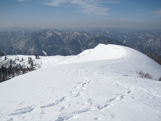 武奈ヶ岳手前より西南稜を眺める。