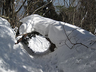 雪のトンネル。