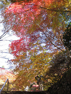 金蔵寺の紅葉。