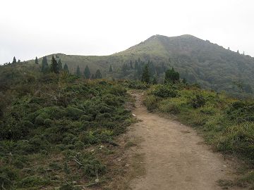 稜線より武奈ヶ岳を望む